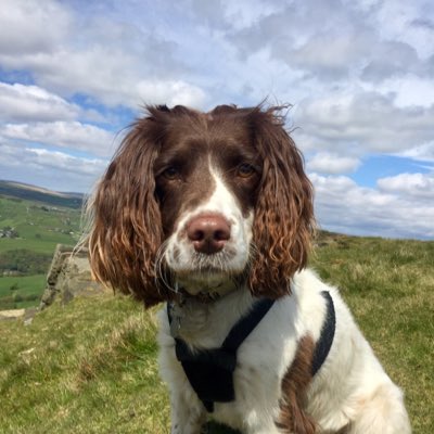 RubyRubyduby1's tweet image. #NewProfilePic