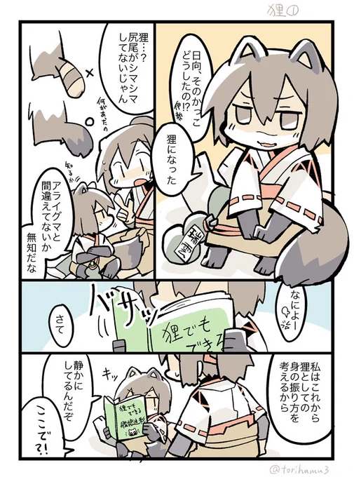 日向の狸さん 