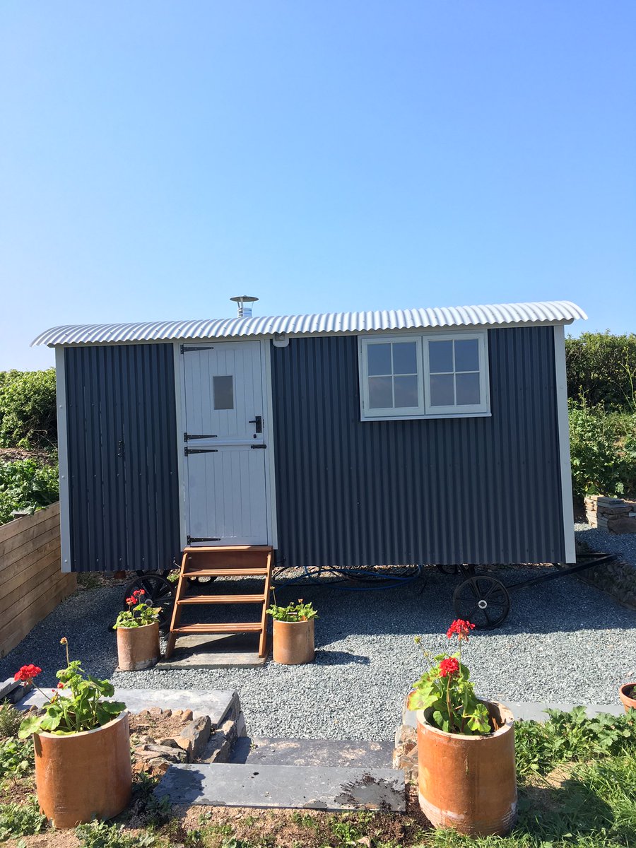 Been planting . #geraniums #shepherdshut #nonameyet  #moylesfarm #polzeath #cornwall #sunsout