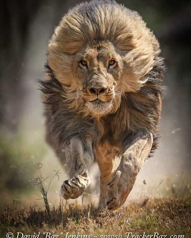 #TMRUBA
<a href="/oce2005/">Oce2005</a>
<a href="/BrettCateley/">ifb</a>
<a href="/SarahiAlly/">🕊Aly🕊</a>
<a href="/Shu_la75/">sHuLa</a>
<a href="/dilruba_lees/">Dee_UK🇬🇧🇺🇦</a>
<a href="/Jilliemary/">Jillian Peeling</a>
<a href="/krishnashk4/">krishna shikh</a>
<a href="/DilrubaLees/">dilruba_lees</a>
<a href="/omniajen/">ʝąʑ🌷</a>
<a href="/GualuCL/">❦• ᎶᏌᎪᏞᏌ┢┦aΡｐy  •❦</a>
<a href="/aliciagarciaga6/">Alicia garcia garcia</a>