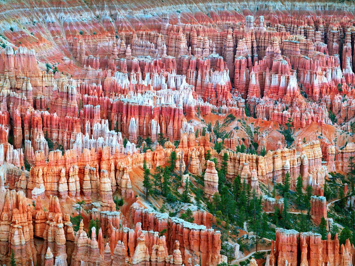LocalizedLife's tweet photo. Bryce #Canyon's Forest of Stone in #Utah hosts the world's largest collection of Hoodoo rock pillars. #Ecotourism https://t.co/DL5yb34OaY https://t.co/1bN0U95GPE
