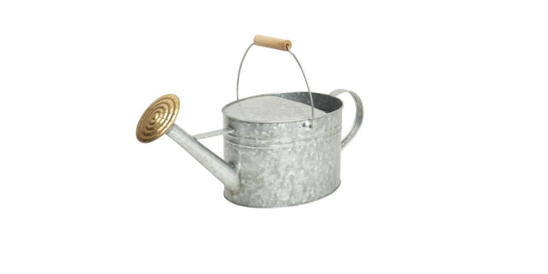 LoveWilko's tweet photo. Water your #garden with two inches of water weekly to encourage stronger growth #Gardening #WilkoTips https://t.co/7gCcc5yOdR https://t.co/zlMDbwtB2U