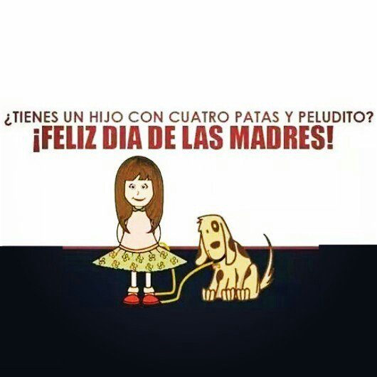 DogMappGuau's tweet photo. #DiaDeLaMadrePerruna #DiaDeLaMadre https://t.co/kRDMWoNEgM