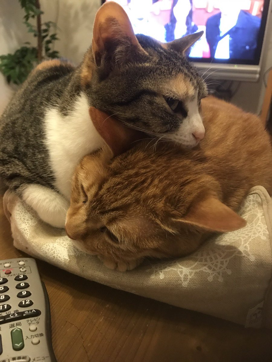今日は更新お休み 