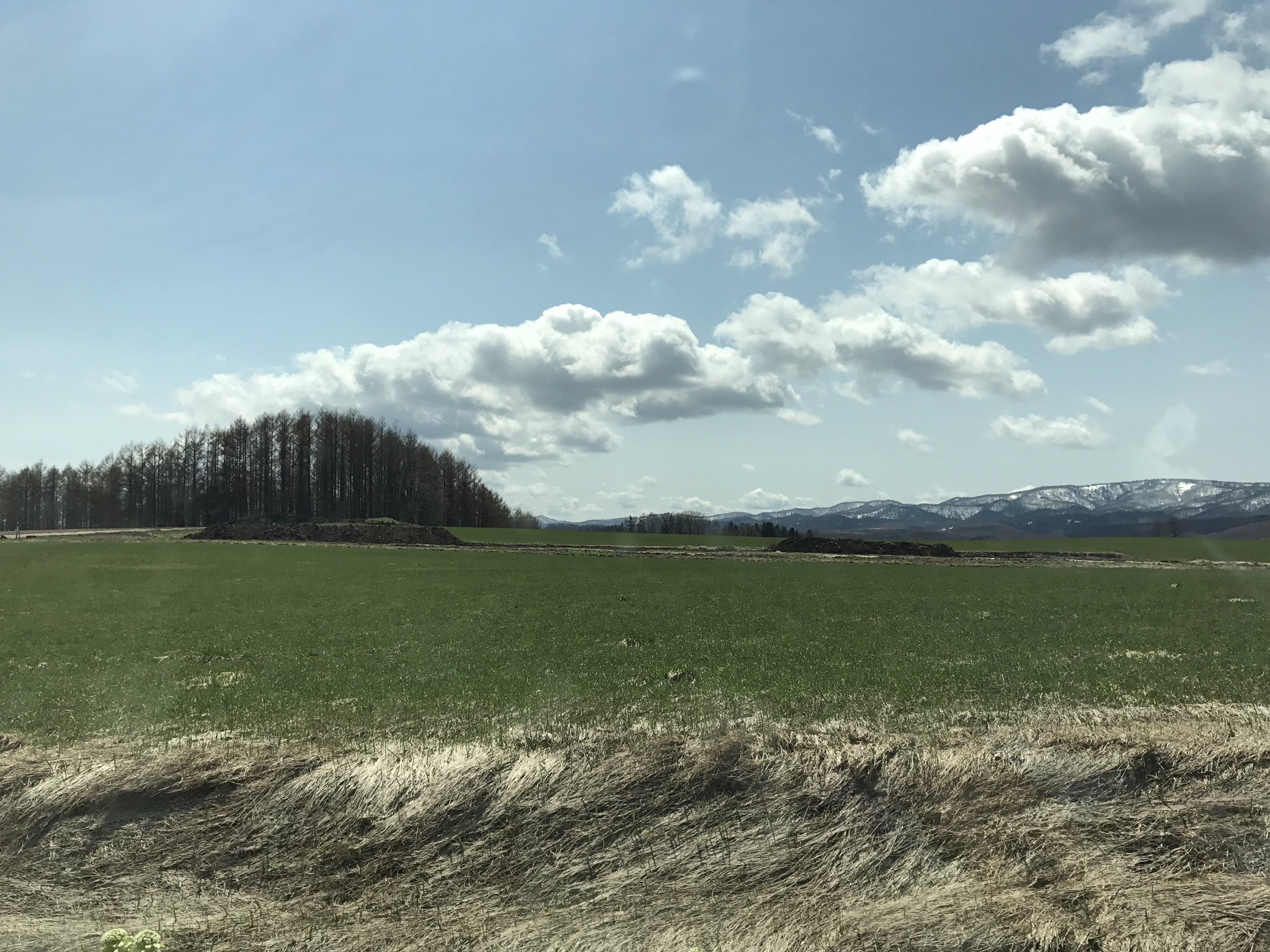 魔法遣いに大切なこと Twitter Search Twitter