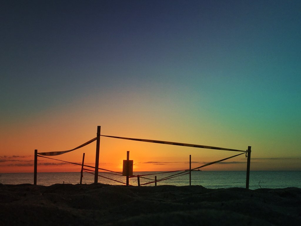 FtLauderdaleSun's tweet image. At loggerheads #seaturtle #turtlenest