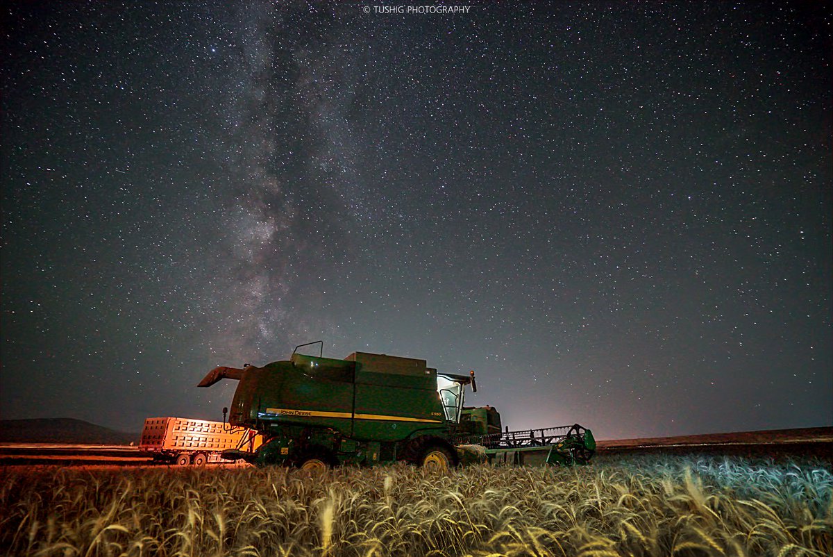 Эрхэм ахын талбайд нэг удаа <a href="/Tsandeleg_L/">Л. ЦАНДЭЛЭГ</a>