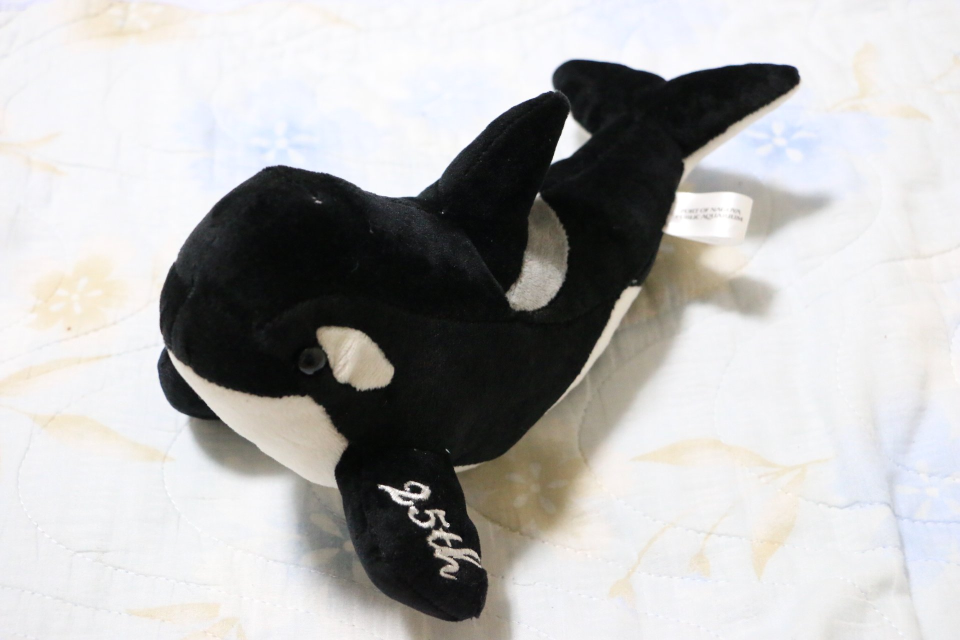 名古屋港水族館 シャチ ぬいぐるみ smk-koperasi.sch.id