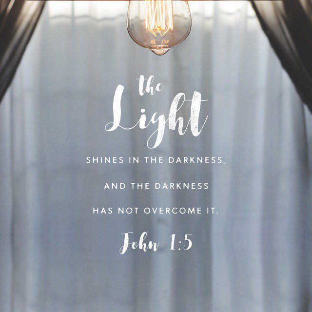 shellcheck's tweet image. bible.com/1588/jhn.1.5.a…