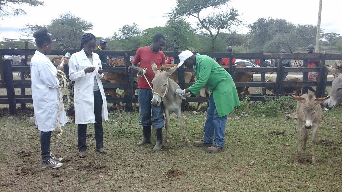 wameyokw's tweet photo. #WVD2017 #KenyaVetAt50Years KVA/CVA&UoN-FVM 26-28/04/17 @SafariPark_H & World Veterinary Day KCB Grounds Kajiado Sat 29/04/17 @TheBrookeEA https://t.co/DQEnWlsVxR