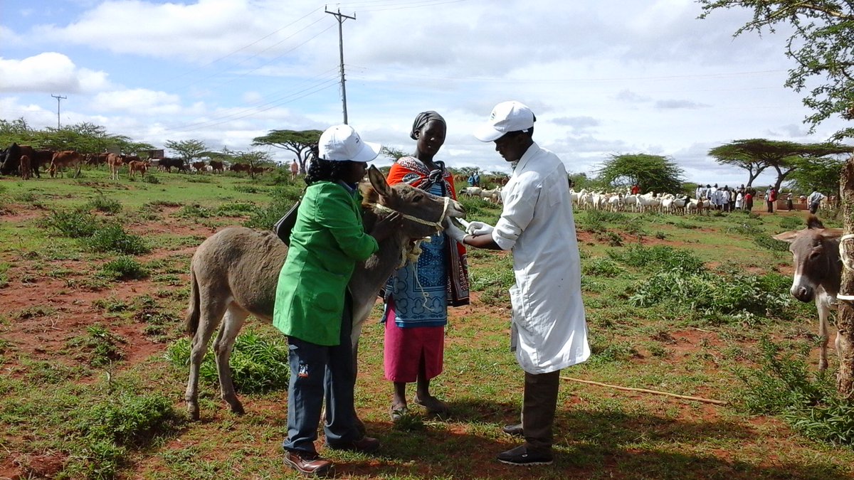 wameyokw's tweet photo. #WVD2017 #KenyaVetAt50Years KVA/CVA&UoN-FVM 26-28/04/17 @SafariPark_H & World Veterinary Day KCB Grounds Kajiado Sat 29/04/17 @TheBrookeEA https://t.co/DQEnWlsVxR