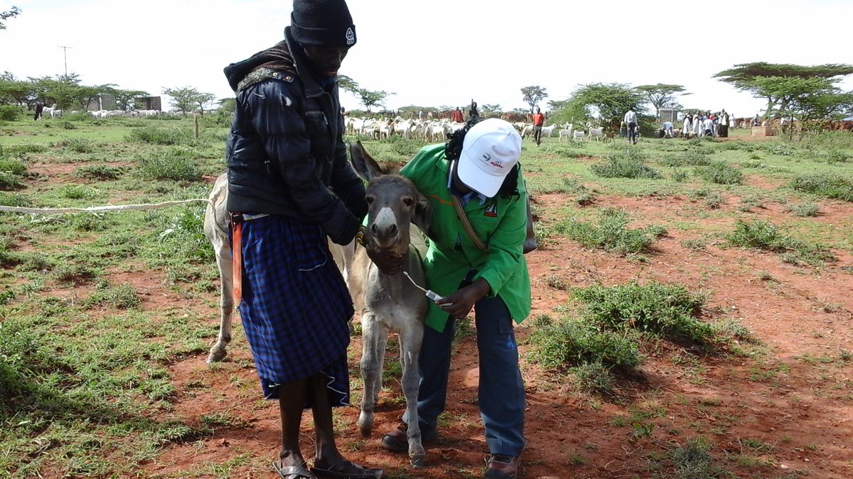 wameyokw's tweet photo. #WVD2017 #KenyaVetAt50Years KVA/CVA&UoN-FVM 26-28/04/17 @SafariPark_H & World Veterinary Day KCB Grounds Kajiado Sat 29/04/17 @TheBrookeEA https://t.co/DQEnWlsVxR