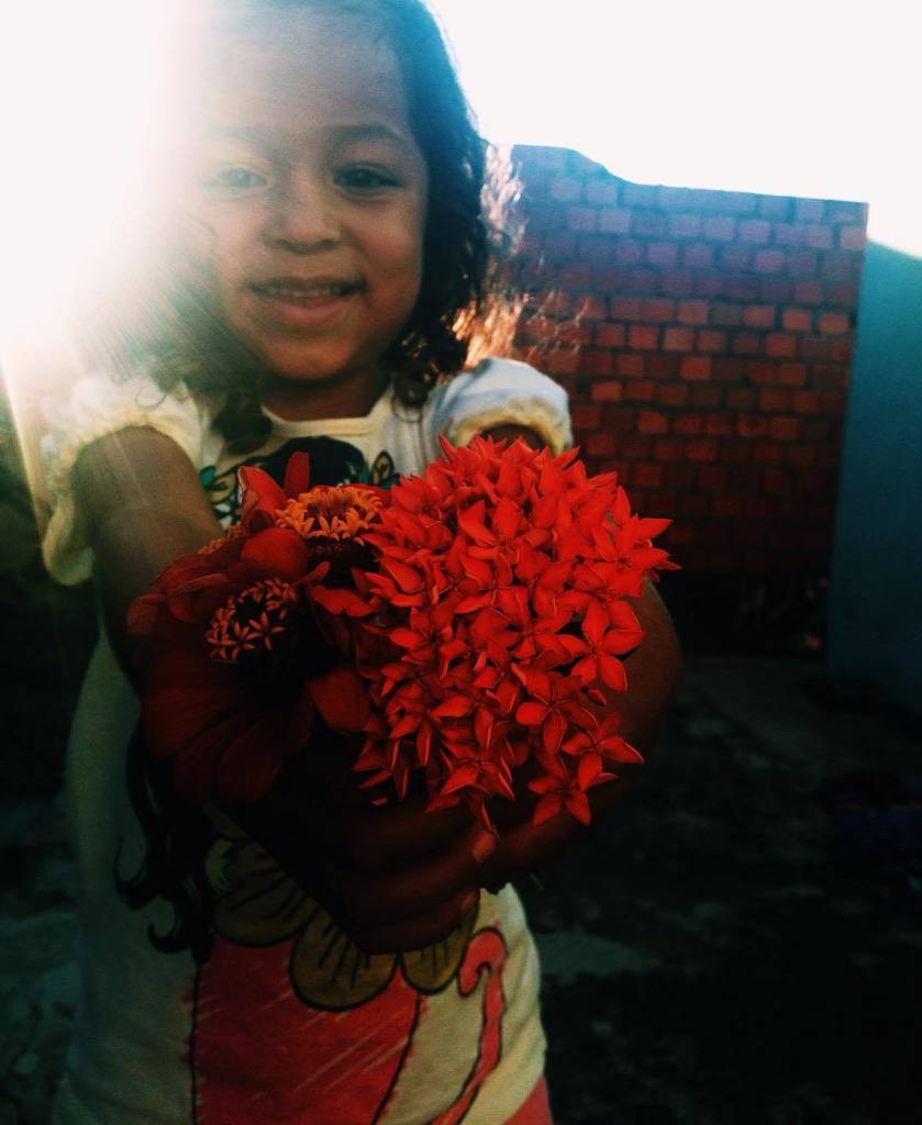 Jessiksemacento's tweet photo. Até o sol quer saber de onde vem tanta luz.
Te amo! ❤️
#flores
#07de31
#maio2017
#desafioprimeira https://t.co/08SOhnKTyI