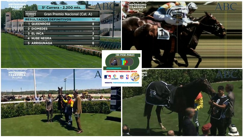 SlewPrince's tweet photo. #HIPISMO en @TurfZH | QUEENROSE salió de perdedora en el GRAN PREMIO NACIONAL (A) montó el Checo @JanacekVaclav , otra para el #THOROGRAPH https://t.co/tp5O9XHeix