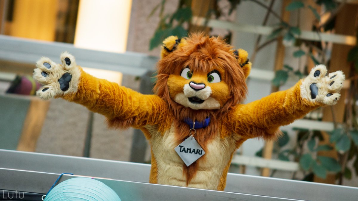 Lutufox's tweet photo. Happy Birthday @TamariLion! ^^ https://t.co/kYGJaUfWlK