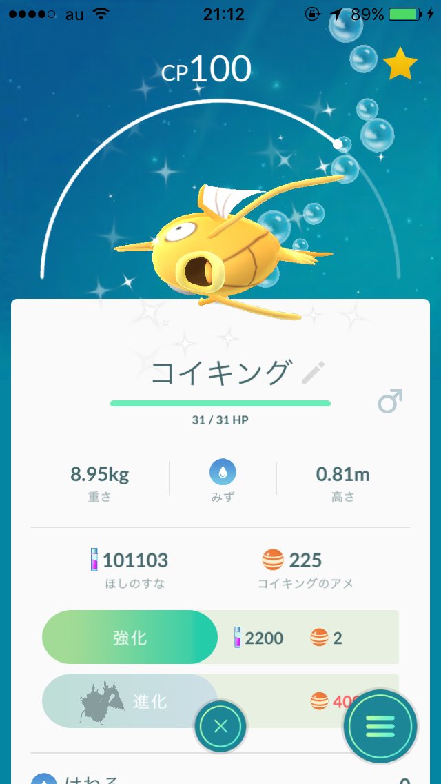 金色コイキング