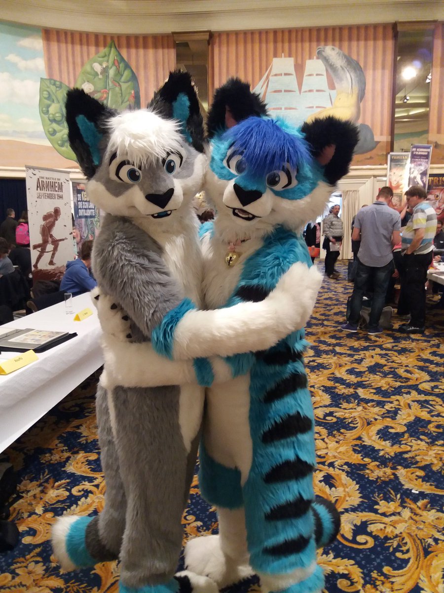 CookieTehHusky's tweet photo. Just have a look at those 2 very cute @DontHugCacti kitties! @RokuFur @Noodlesfur https://t.co/XaNL7WA8LV