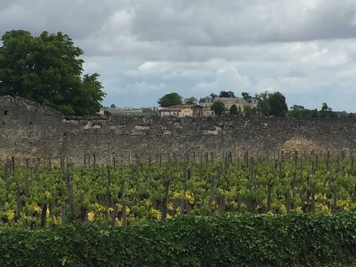 HellHowie's tweet image. #beautifulview @AufaitwithWine