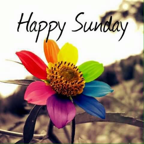 Velraj G tweet media