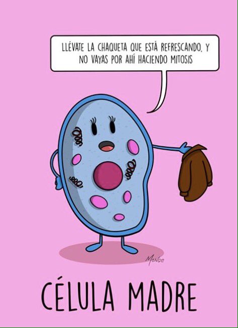 quimimeo's tweet photo. #DiaDeLaMadre https://t.co/yj7PcPp6vW