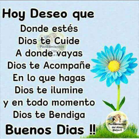 Patricia Nunez Auf Twitter Buenos Dias Mi Gente Bella Feliz