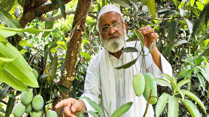 மோடி எல்லாம் ஓல்டு, யோகி மாம்பழம் தான் டாப்பு!
#Yogi #Mango #Malihabad #PMModi #HajiKalimullah #MangoMan #YogiMango
tamil.samayam.com/latest-news/te…