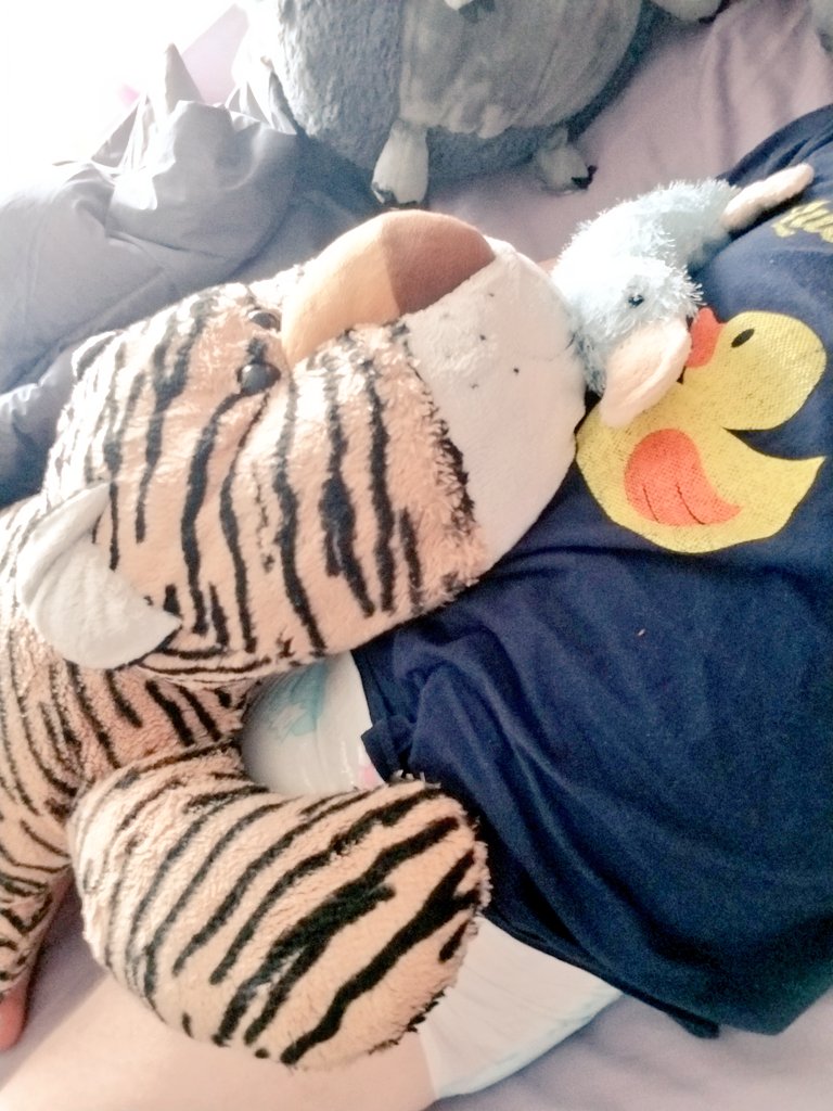 RukaPuddlegum's tweet photo. Lazy Sunday with @StuffieBrigade. Accepting all pats and praise ^_^ #datpoof #cublife #abdl #dunwannagetup https://t.co/fdRxqLOVV0