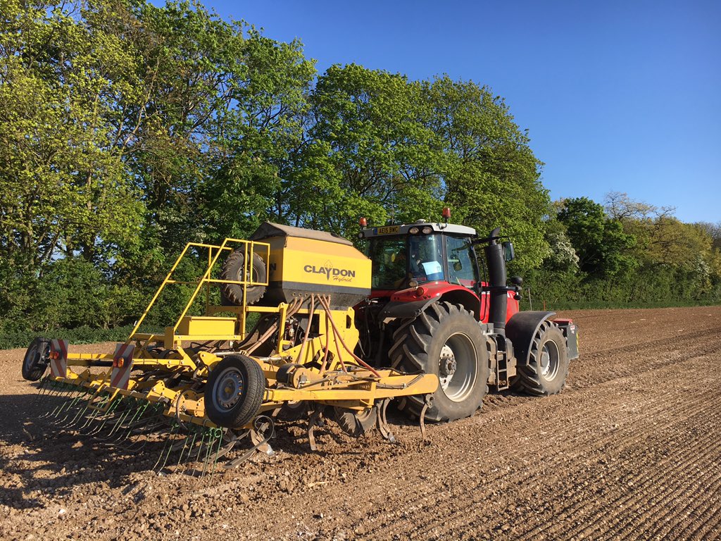 TomExcell1's tweet photo. @SyngentaCropsUK Drilling the first of 36ha of #powermaize moisture at seed depth just got to keep it til February and keep it clean! #fingerscrossed https://t.co/h9iML1Dgx2