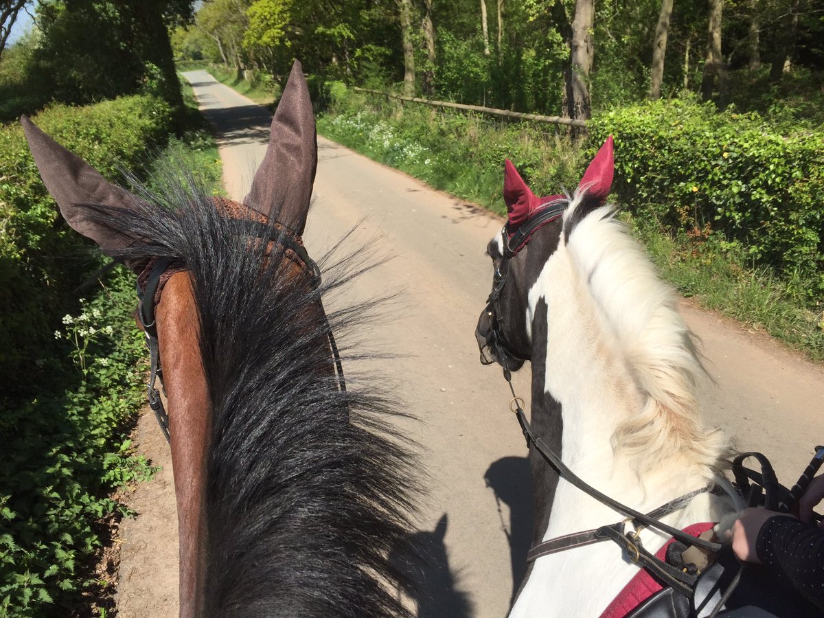 Jay Kane Eventing tweet media