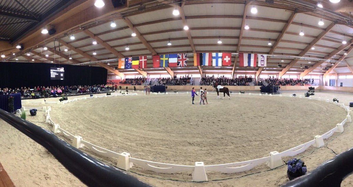 CVIErmelo's tweet photo. Great audience! #vaulting #voltige #cviermelo2017 #cviermelo https://t.co/ZeqqfNvAj8