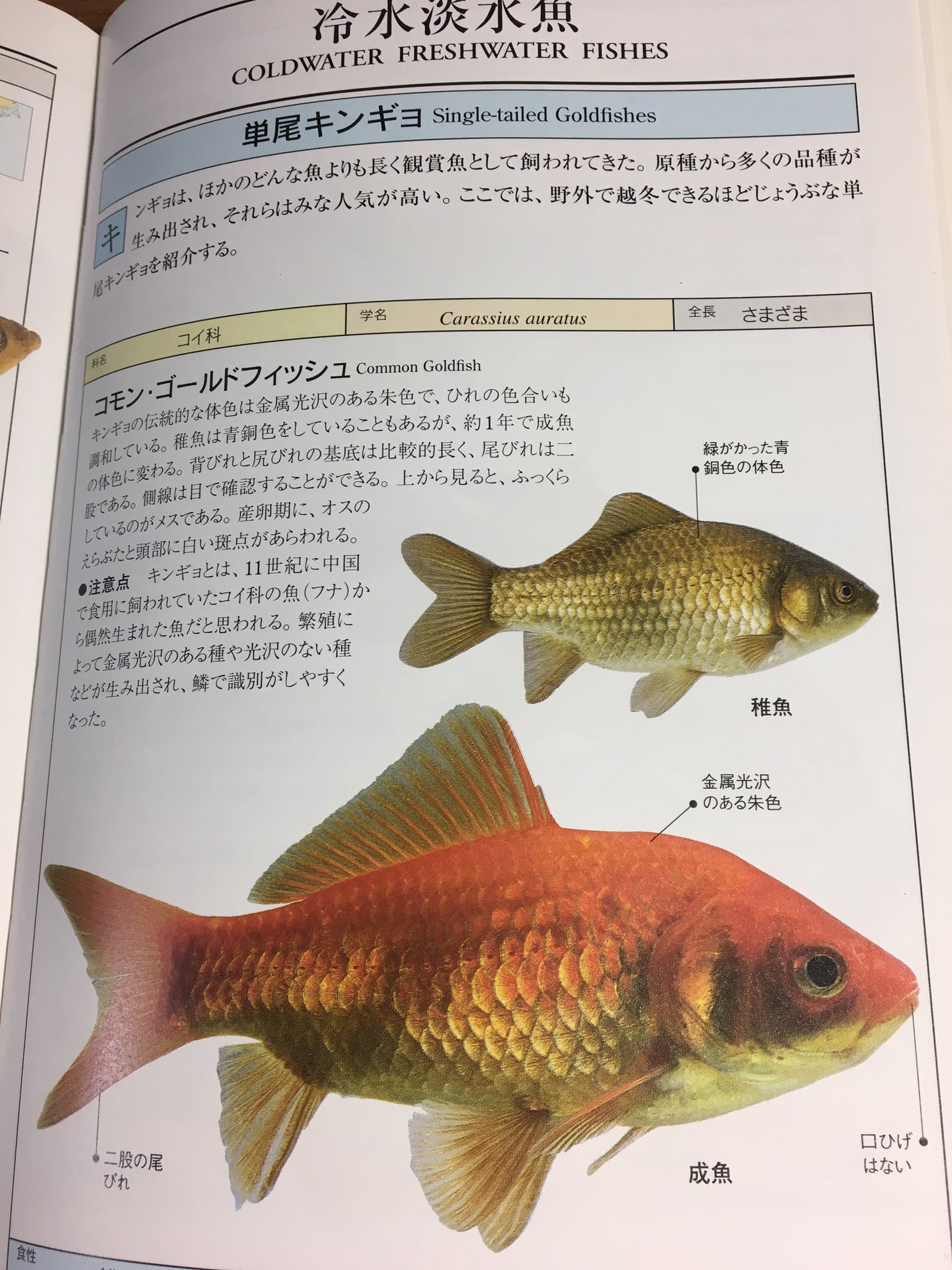 Twitter 上的うか春 12 T Co Li0orjipvt Twitter