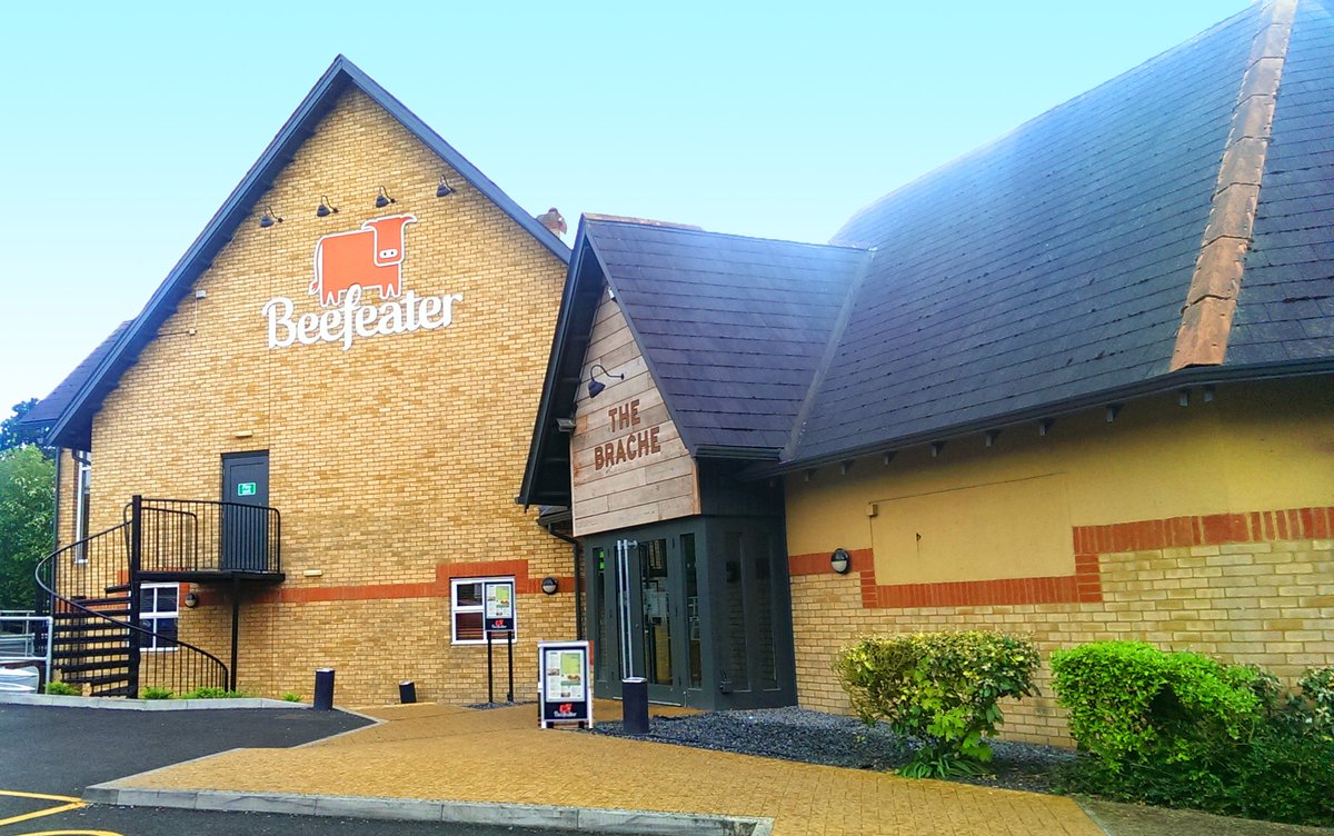 Business Buzz Beds tweet media