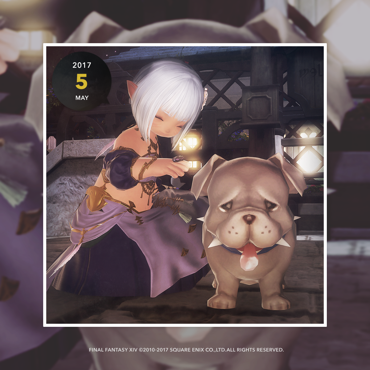 onyaponko's tweet photo. ブルパピーでないかな？と言ったら2夜連続でブルパピーを手に入れた話：） #FF14DayFrame #eorzeacamera https://t.co/BIurLkRxSw