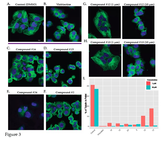 ElementoLab's tweet photo. A New Big-Data Paradigm For Target Identification And Drug Discovery https://t.co/n1WihLVqAM https://t.co/w3Pq8ZI1KU