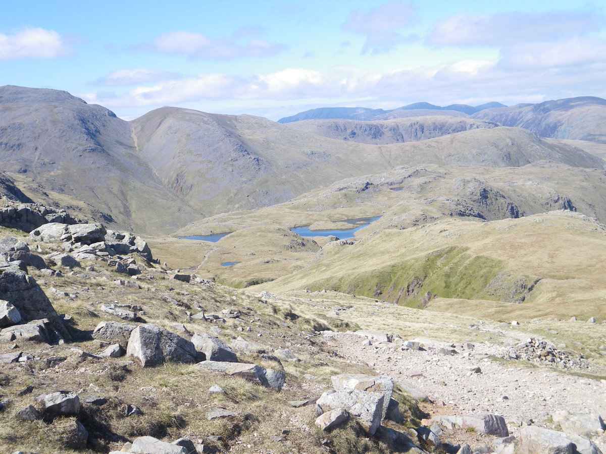 Kristen Sanderson tweet media