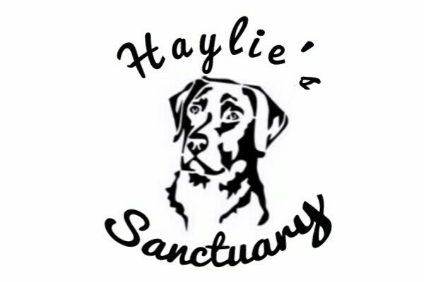 HaylieSanctuary's tweet photo. Please support my GoFundMe campaign: https://t.co/xF6lqBZwZH @gofundme https://t.co/76sfRLjPBT