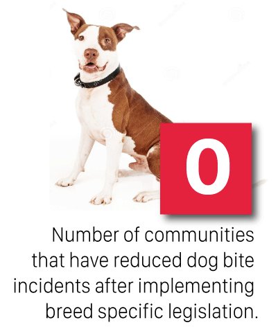 YonahWGrossman's tweet image. 