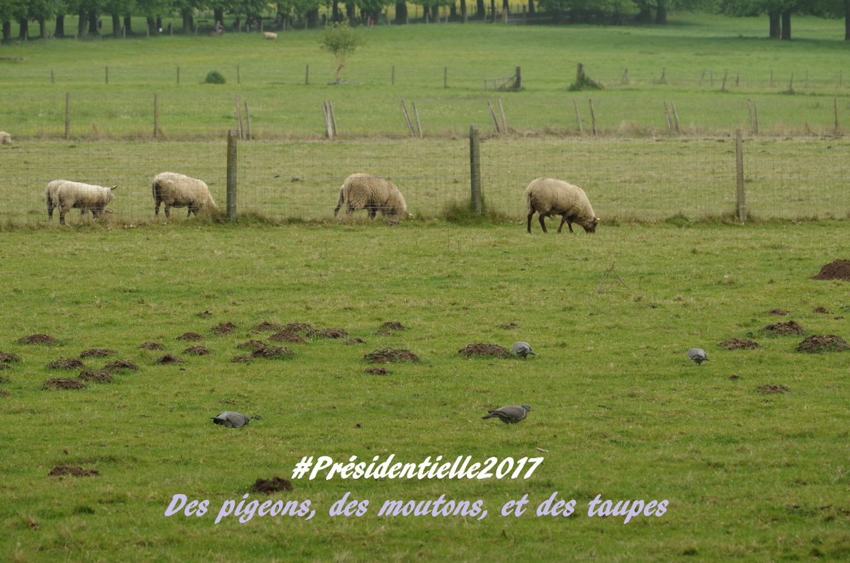 philippe JIDE tweet media