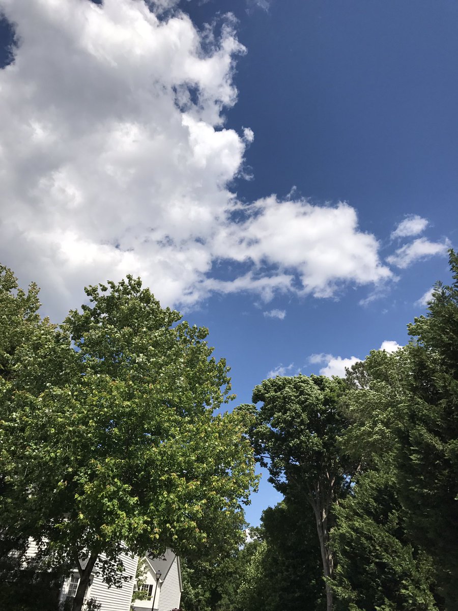 DavidGKress's tweet photo. Another beautiful day in #NorthCarolina #Raleigh #iPhonecamera #iphone #iPhone7Plus #Summer2017 #clowns #clownguy https://t.co/MsVC3pkatR