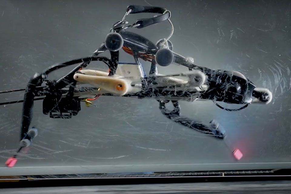 shaunwiggins's tweet image. Video Friday: Running #Robot, Dog vs. #Roomba, and #BionicCobot buff.ly/2pQm0l9