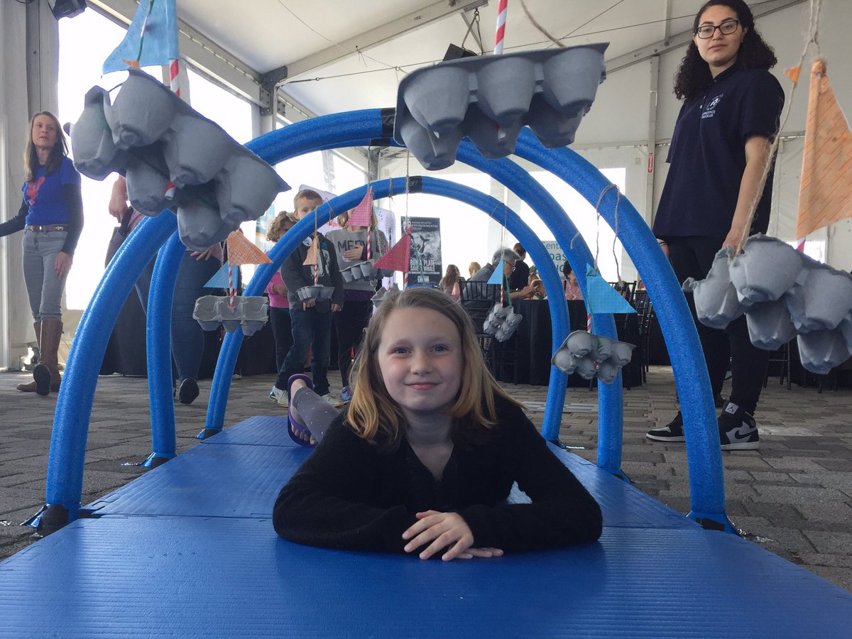 This is how a Right Whale rolls #newenglandaquarium #rightwhalefestival