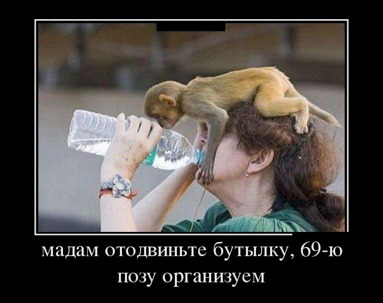 Маленький прибыток, да большая (большой) бережь. bit.ly/2pqksuV