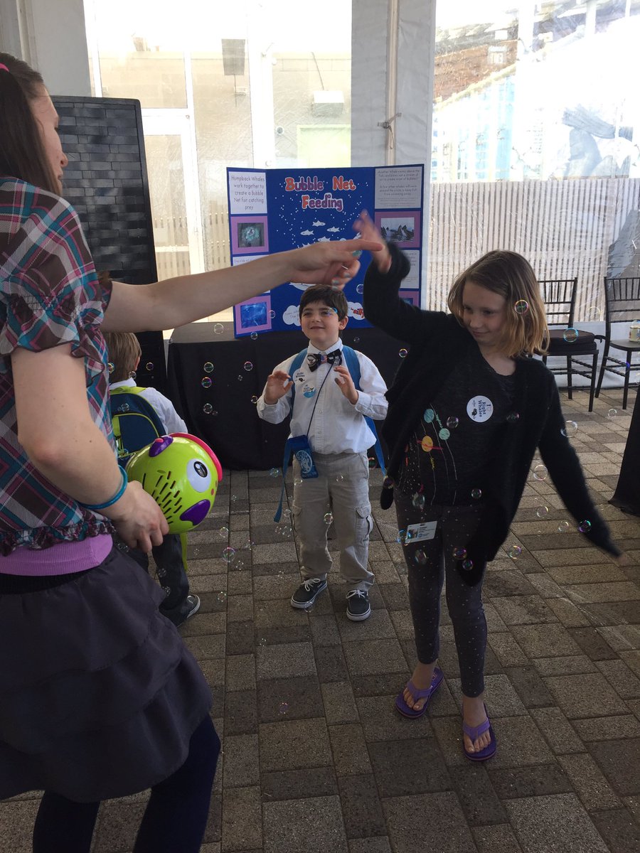Trapped in a bubble net!  Watch out! #newenglandaquarium #rightwhalefestival