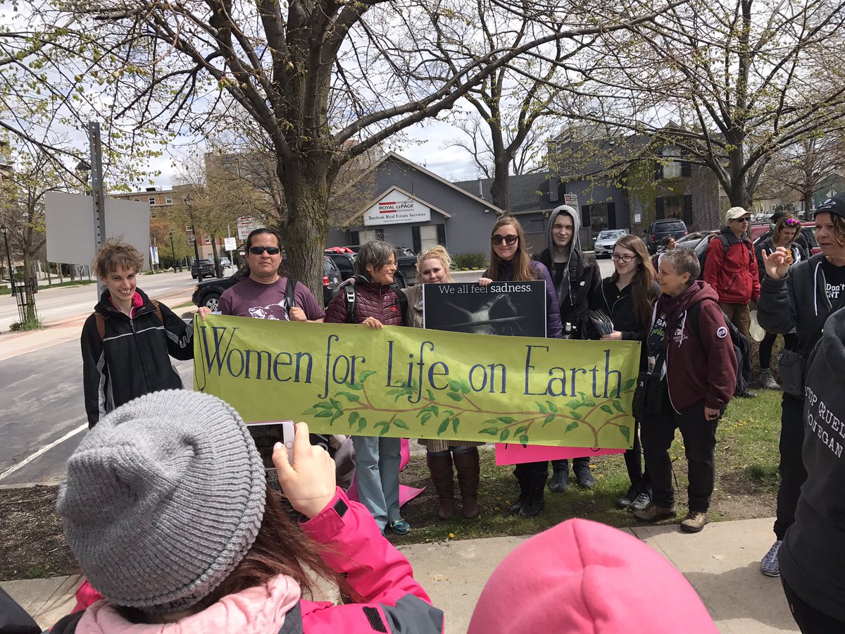 TorontoPigSave's tweet image. Women&apos;s March to Fearman&apos;s is about to start here in Burlington #PigTrial #vegan