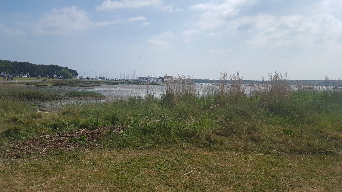 MudefordQuay's tweet image. The sun has got its hat on here at @MudefordQuay