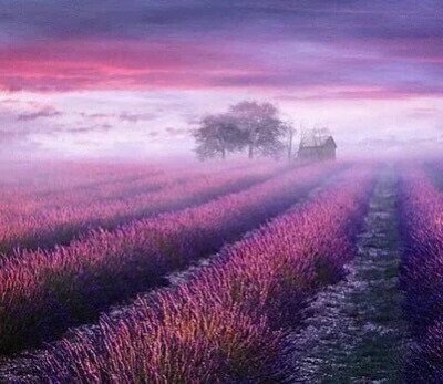 aesthetic_minho's tweet photo. https://t.co/gT4Ij6JUKS