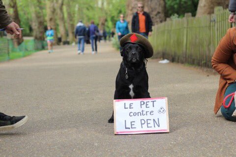 LRT. This one is my favourite. I shall call him 'Melenchien.' #lepetcontrelepen