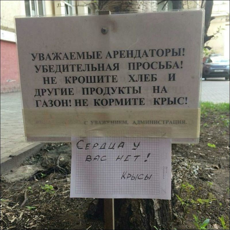 Смешные картинки с надписями про объявления
