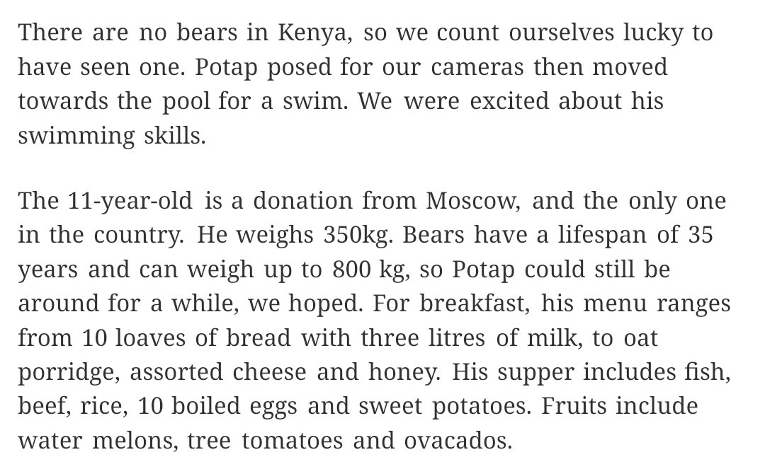 ngwata_'s tweet photo. Just found out today that's there's a Bear in Kenya.  A Bear. https://t.co/oLY8mZXlsA