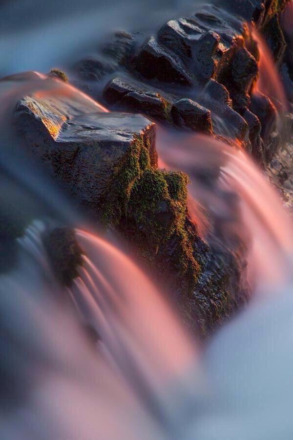 Listen to the voice of nature for
it holds secrets for you...
- Native American Proverb